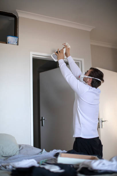 Best Real Estate Mold Inspection  in San Felipe Pueblo, NM