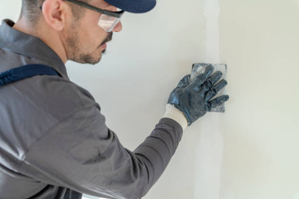 Best Post-Remediation Verification Testing  in San Felipe Pueblo, NM